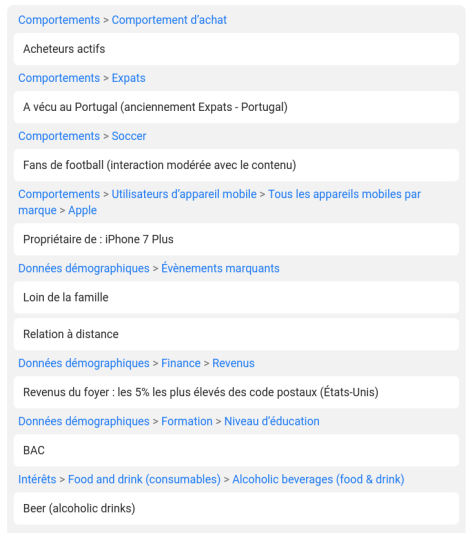 Interface de ciblage de Facebook Ads, depuis le compte Picasoft, pour une campagne fictive