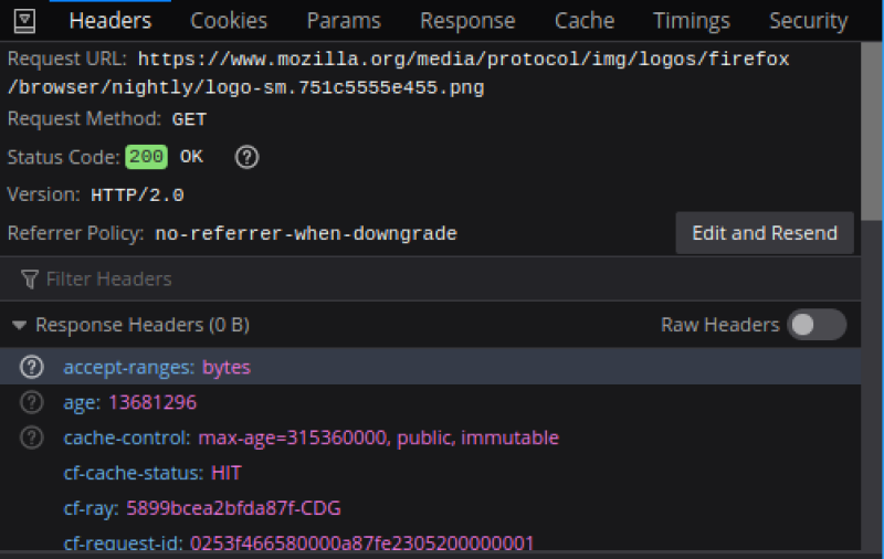 Outils de développement Firefox (onglet requête)