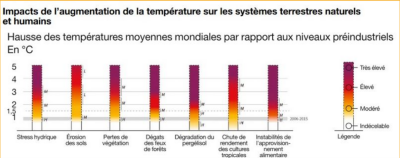 Impacts de l'augmentation de la température sur les systèmes terrestres naturels et humains