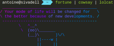 Contexte [Linux/CLI]