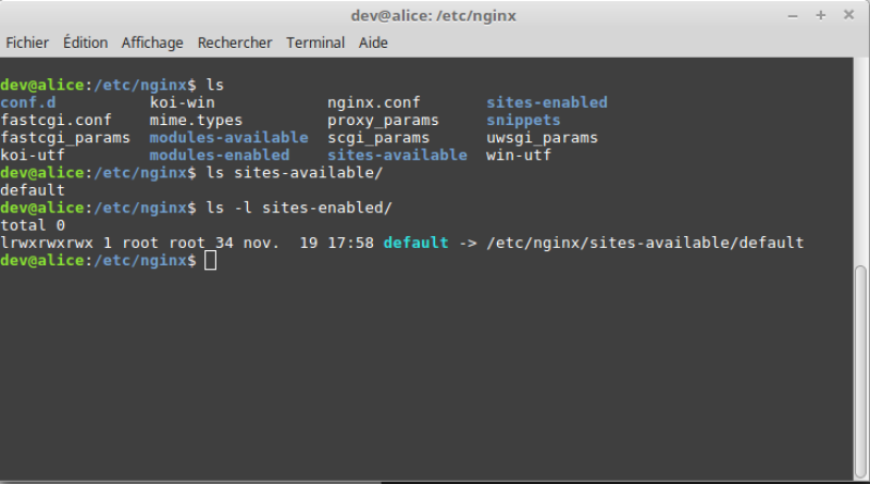Dossier nginx
