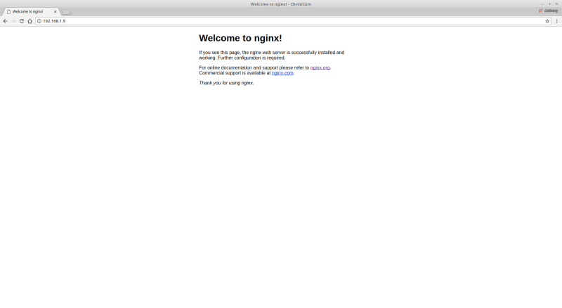 Page d'accueil nginx