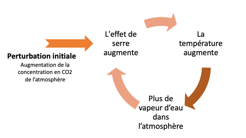 Boucle de rétroaction de la vapeur d'eau