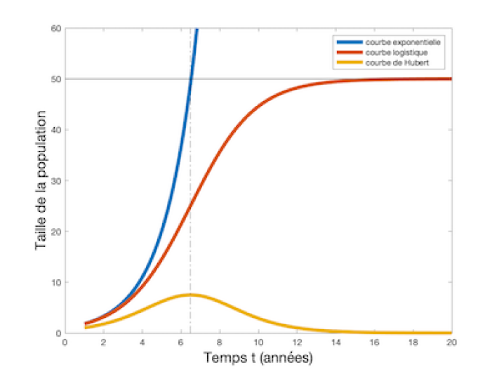 Fonction exponentielle, fonction de Verhulst et fonction de Hubert