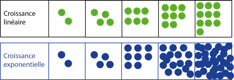 Croissance linéaire vs croissance exponentielle