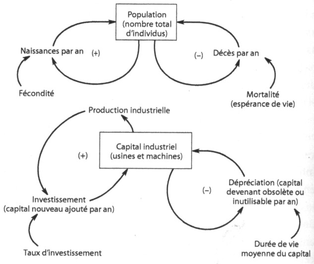 Extrait du modèle de World3 (boucles de rétroaction de la croissance de la population et du capitale) (Meadows et al., 2012)